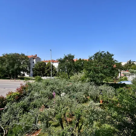 Oleandar Appartement Poreč
