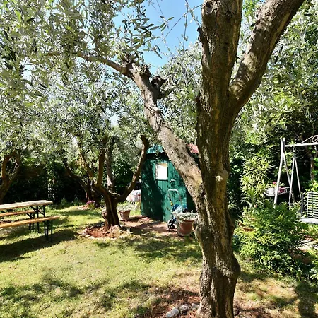 Oleandar Appartement